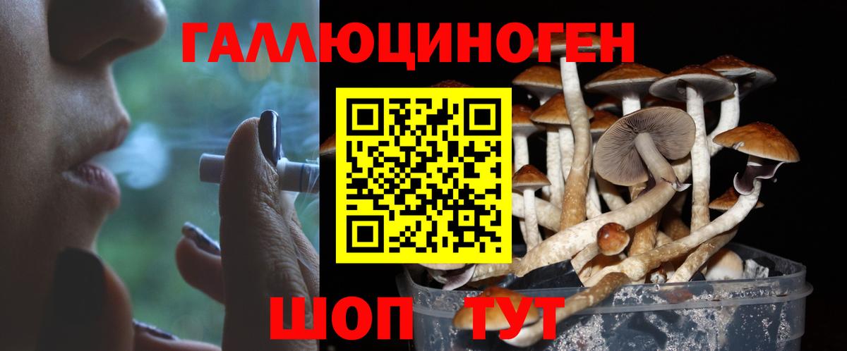 Псилоцибиновые грибы MAGIC MUSHROOMS Жигулёвск